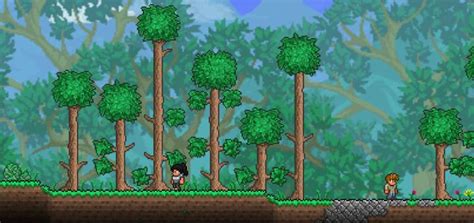 Terraria Walkthrough 1 4