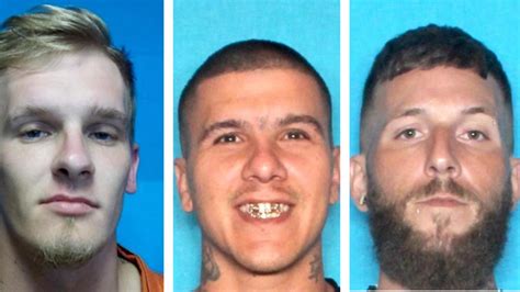 County Sheriff, Warrant, Most Wanted Inform