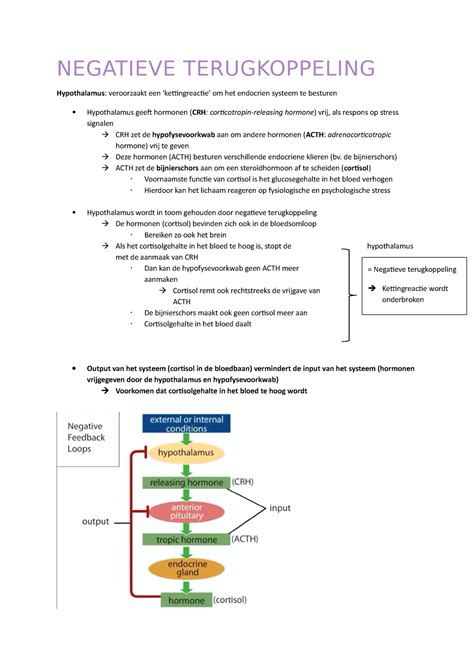 terugkoppeling in systemen