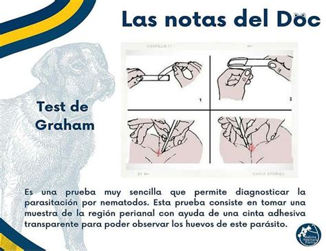 Test De Graham