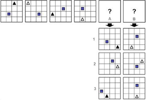 Testas Sample Questions