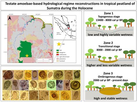 Download Testate Amoebae As A Proxy For Reconstructing Holocene 