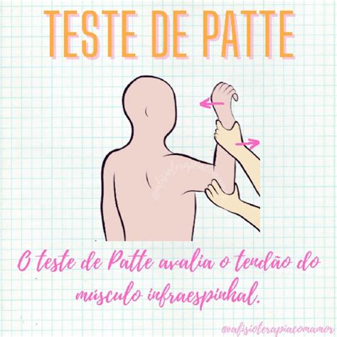 Teste De Patte