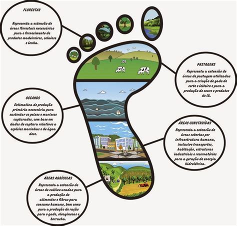 Teste Pegada Ecologica