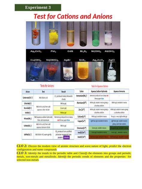 testing cations and anions lab report summary