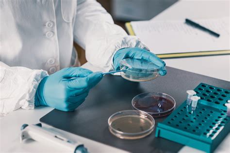 Read Testing Methods In Food Microbiology 