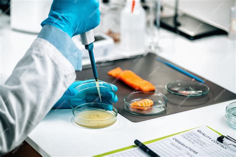 Read Testing Methods In Food Microbiology 