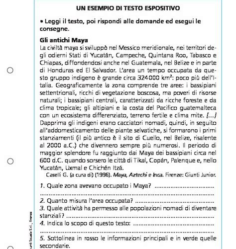 Testo Espositivo Esempio