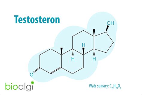 testosteron