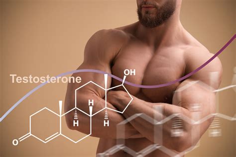 Testosteron Natürlich Steigern