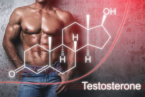testosterone | n g tng testosterone nam 22 loi