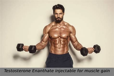 testosterone enanthate muscle gain​