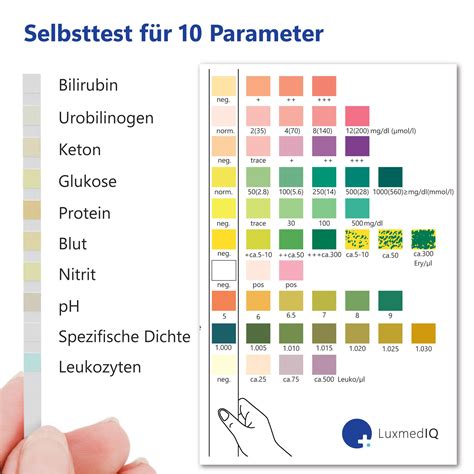 teststäbchen urin bakterien