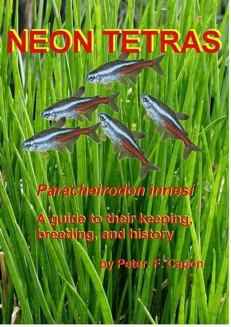 tetras english edition