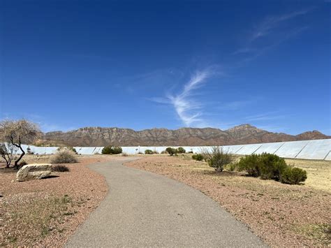 texan desert