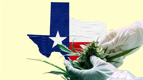 texas bans thc
