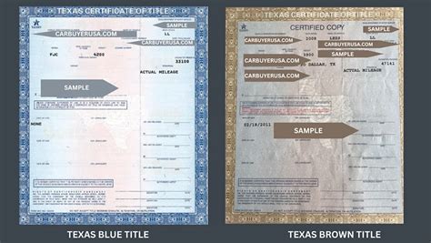 texas blue title