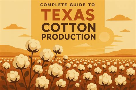 texas cotton