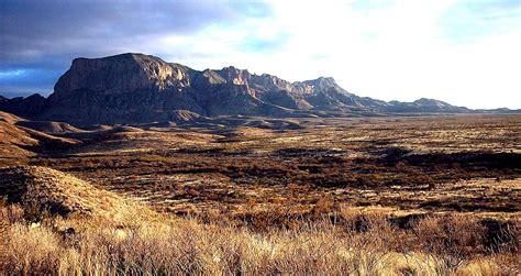 texas desert