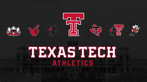 texas dpt