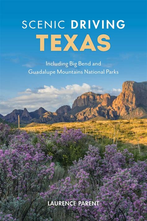Texas Driving Book