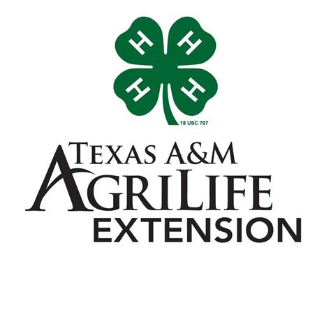 texas extension