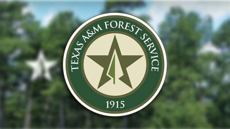 texas forest service