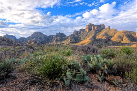 texas landscape