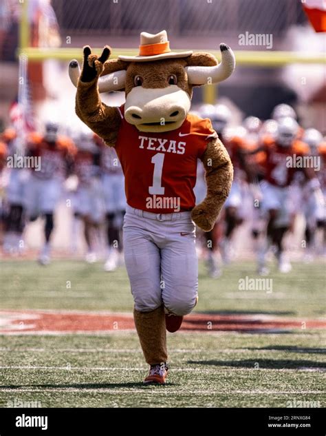 texas mascot