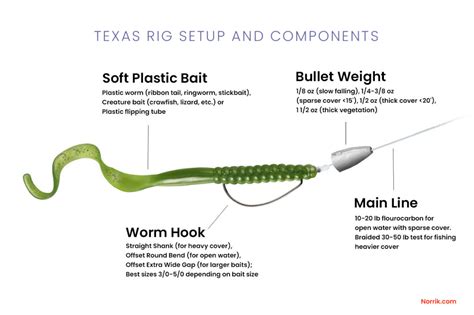 texas rig fishing