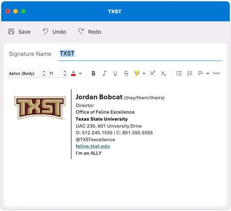 texas state email