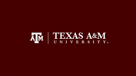 texas tamu