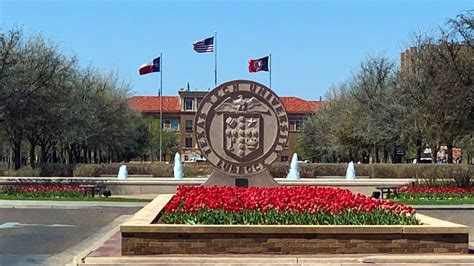 texas tech enrollment