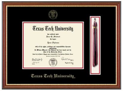 texas tech online degree programs