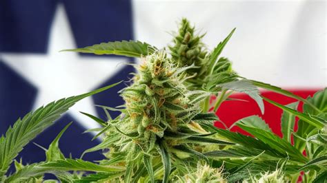 texas thc bill