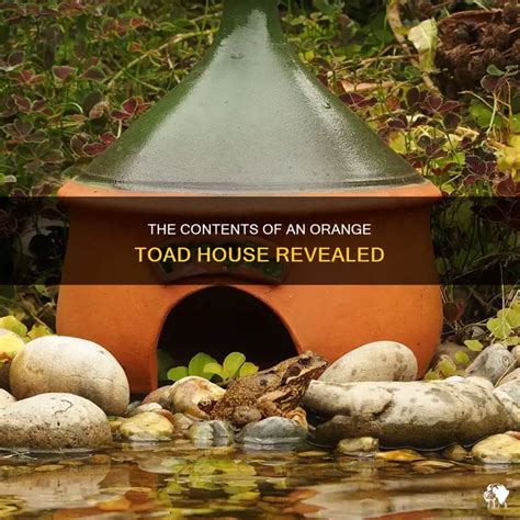 texas toad house