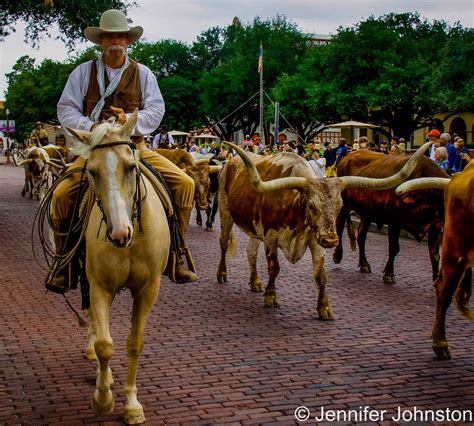 texas western
