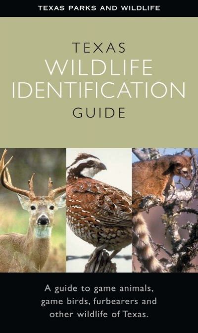 Read Online Texas Parks And Wildlife Guide 