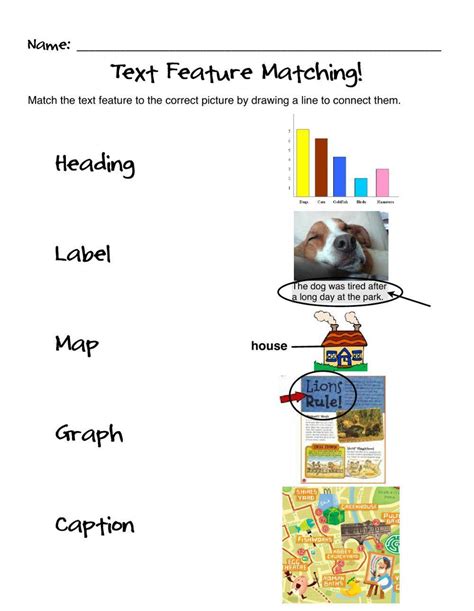 Text And Graphic Features Worksheet Live Worksheets Text And Graphic Features Worksheet - Text And Graphic Features Worksheet