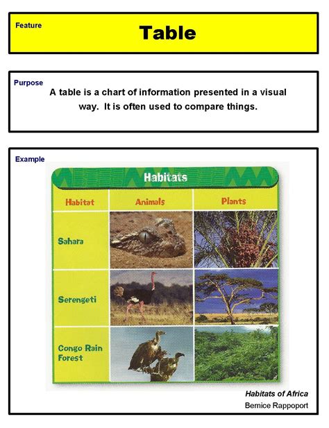 Text Features Educational Resource Table Of Contents Worksheet 2nd Grade - Table Of Contents Worksheet 2nd Grade