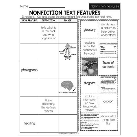 Text Features Worksheet 2nd Grade
