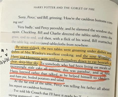 Textbook With Annotations Harry Potter