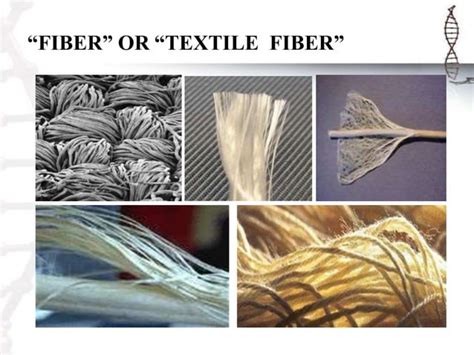 Textile Fibers Ch 11 Study Guide Answers