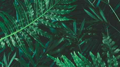 texture | Ngha ca t Texture T in Anh