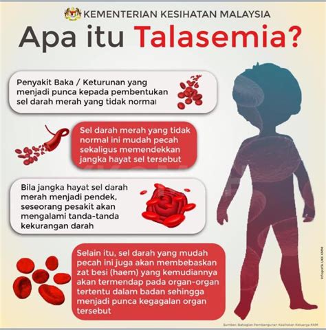 thalasemia adalah penyakit apa