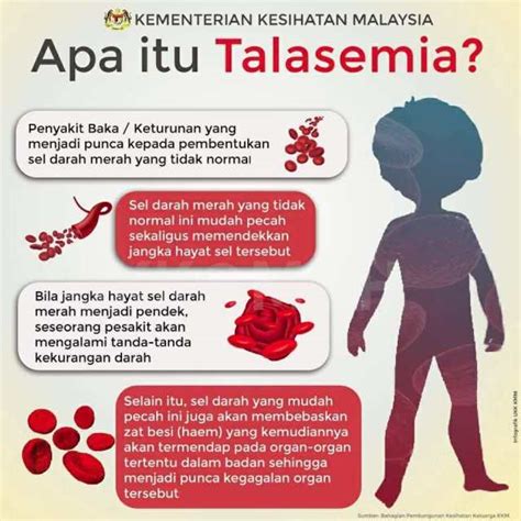 thalassemia adalah