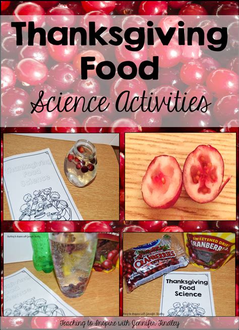 Thanksgiving Science Activities With Cranberries Teaching Thanksgiving Science - Thanksgiving Science
