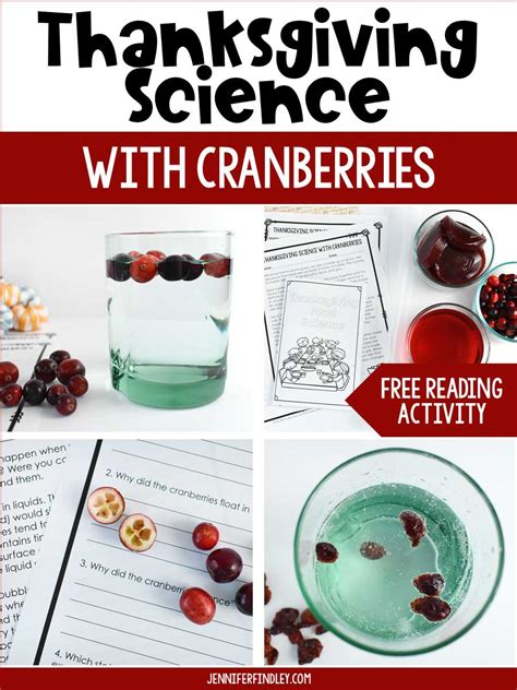 Thanksgiving Science Activities With Cranberries Thanksgiving Science Activities - Thanksgiving Science Activities