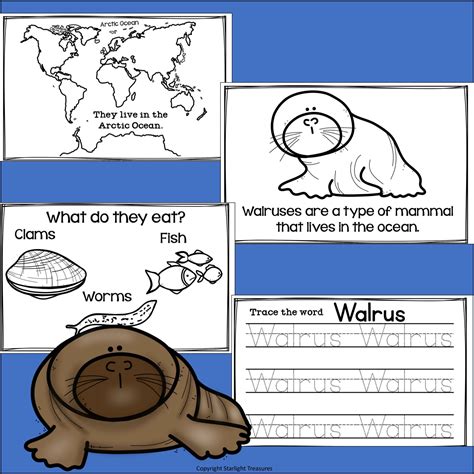 That Tiny Walrus Book