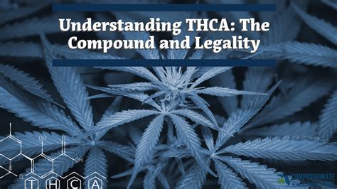 thca florida